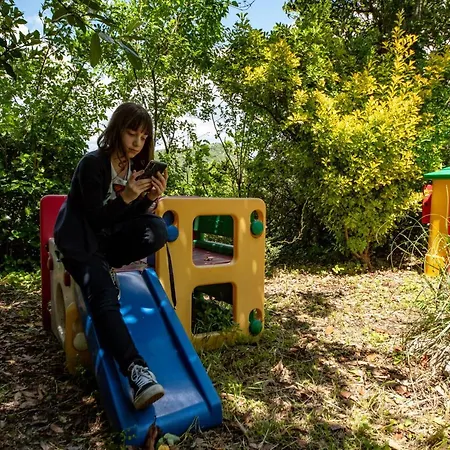 Perfetta Letizia Casa Vacanza Assisi