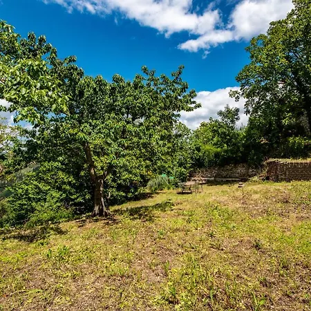 Апартаменты Perfetta Letizia Casa Ассизи