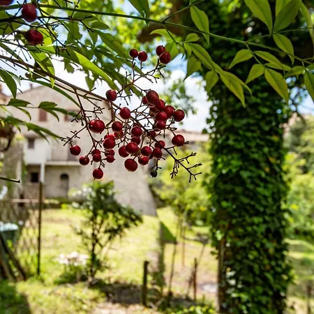 Perfetta Letizia Casa Апартаменты Ассизи