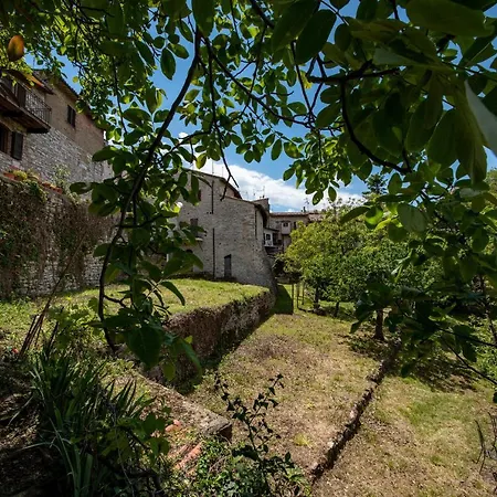 Perfetta Letizia Casa Ассизи