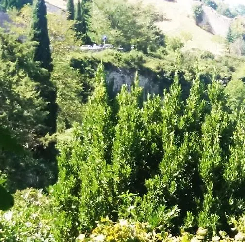 Apartamento Perfetta Letizia Casa *