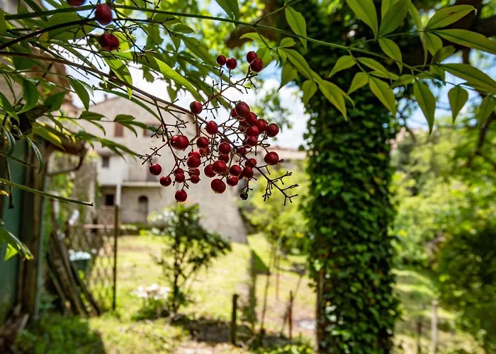 Perfetta Letizia Casa Apartamento Assisi