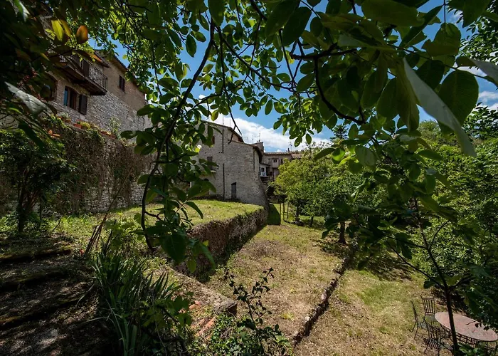Perfetta Letizia Casa Assisi