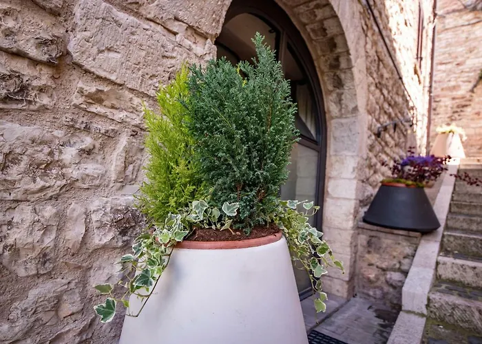 Perfetta Letizia Casa Apartamento